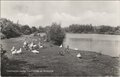 OOSTVOORNE-ROCKANJE-Tenellaplas-tussen-Oostvoorne-en-Rockanje