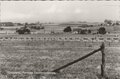 GROESBEEK-Panorama-Zevenheuvelenweg