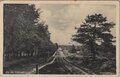 VELUWE-Op-de-Veluwe.-Karreweg