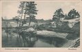 DENEKAMP-Dinkeloever-in-het-Lutterzand