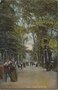 AMSTERDAM-Papagaaien-Laan-in-Artis