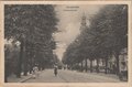 AMSTERDAM-Lienaeusstraat