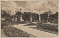 AMSTERDAM-Rosarium-Kleurenpracht