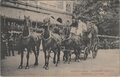 AMSTERDAM-Bloemencorso-Rembrandtfeesten-juli-1906