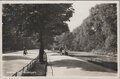 AMSTERDAM-Vondelpark