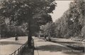 AMSTERDAM-Vondelpark