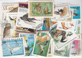 Birds-Stamps-Collection-100-Different-Stamps