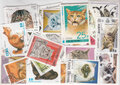 Cats-Stamps-Collection-100-Different-Stamps