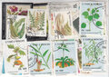 Flowers-and-Plants-Stamps-Collection-100-Different-Stamps
