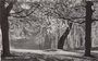 UTRECHT - Wilhelminapark_7