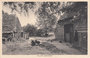 VELUWE - Veluws Boerenerf_7