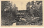 APELDOORN - Berg en Bos. Tunnel_7