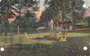 NIJMEGEN - Kronenburgerpark - Hertenkamp_7