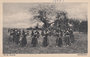 VELUWE - Rondedans_7