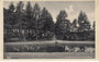 ZEIST - Boschvijver bij het Groene Bergje_7