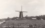 STEENDEREN - Molen bij Bronkhorst na de restauratie in 1960_7