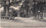 HILVERSUM - Wilhelminaboom in Spanderwoud_7