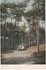 ZEIST - Bosch_7