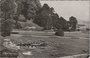 NIJMEGEN - Bloemenwapen_7