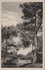 VELUWE - Natuurschoon_7