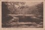 BAARN - Baarnsche Bosch Groote Kom_7