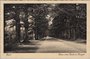 ZEIST - Laan van Beek en Roijen_7