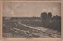 VELUWE - Heidelandschap_7