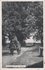 VELUWE - Boerenkar, Groeten van de Veluwe_7