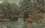 HILVERSUM - Spanderswoud_7