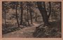 DOORN - Kaapsebos_7
