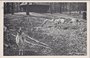 ZEIST - Hertenkamp_7