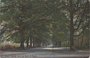 ZEIST - Tweede Laan van Beek en Rijen_7