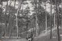 ZEIST - Valleien in 't Zeister Bosch_7