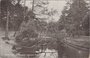 ZEIST - Schuine boom in 't Zeister Bosch_7
