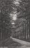 ZEIST - Koelaan_7