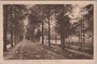 BILTHOVEN - Soestdijksche straatweg, Hotel de Leijen_7