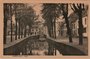 AMERSFOORT - Havik_7
