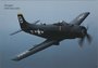 DOUGLAS AD4 Skyraider_7
