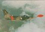 SIAI MARCHETTI SF - 260 M_7