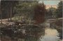 ZEIST - Zeisterbosch_7