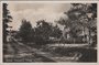 PUTTEN - Veluwsch huisje_7