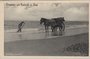 KATWIJK AAN ZEE - Schelpenvisscher_7