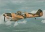 CURTISS P-40 N-40 Warhawk_7