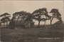EDE - Schaapskooi op Kreel_7