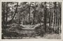 DENEKAMP - Boslaan bij het Lutterzand_7