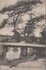 DENEKAMP - Slakhorst Bruggetje bij Denekamp_7