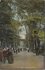 AMSTERDAM - Papagaaien - Laan in Artis_7