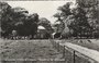 STEENWIJK - Landelijk schoon Landgoed Woldberg bij Steenwijk_8