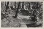 ARNHEM - Bij de kleine vijver Sonsbeek_8