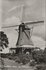KAMPEN - Molen De Olde Zwarver_8
